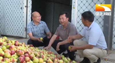 点对点联系收购商 驻村工作队助农卖桃促增收