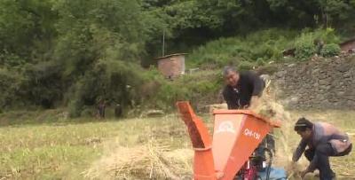 十堰郧阳秸秆粉碎还田 增地肥护蓝天