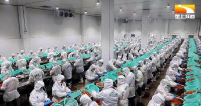 金融支撑 科技助力 湖北推动小龙虾全产业链升级发展