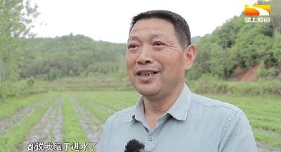 能人返乡种“珍珠” 山野土货变“致富花”