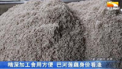精深加工食用方便 巴河莲藕身价看涨