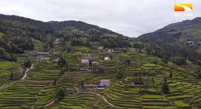 万亩荒山变身最美茶园 木耳山茶旅融“绘”新画卷