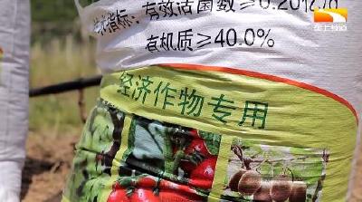 订单排到一个月后 生物有机肥企业产销两旺