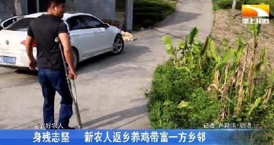 身残志坚 新农人返乡养鸡带富一方乡邻