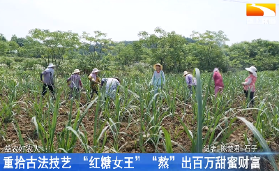 重拾古法技艺 “红糖女王”“熬”出百万甜蜜财富