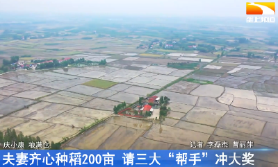 夫妻齐心种稻200亩 请三大“帮手”冲大奖