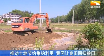 推动土地节约集约利用 黄冈让“良田”回归粮田