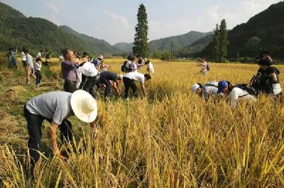 我省备足夏收仓容113亿斤 为预计收购量1.7倍