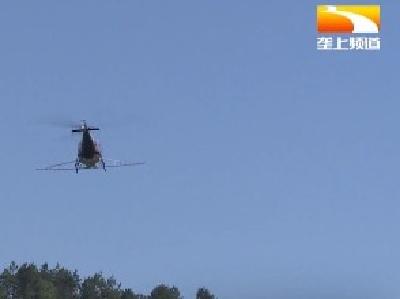硬核杀虫！“飞机医生”守护罗田18万亩松林