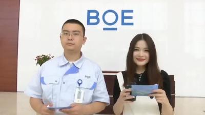 “技兴荆楚·能创未来”工厂开放日—走进京东方.mp4