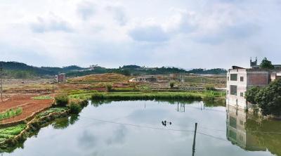 不良水质应如何调控？油膜产生的原因有哪些?如何控制？