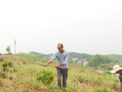 党建引领 产业支撑 “扯皮村”变美丽乡村