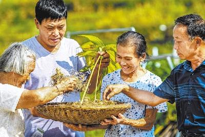 湖北581万贫困人口全部脱贫 荆楚儿女彻底告别绝对贫困