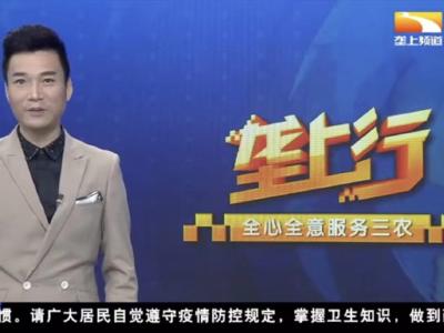 好食材好调味 大厨同台竞技共享荆楚美味