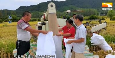 襄阳优质大米有了专属“身份证” 9家企业获使用资格