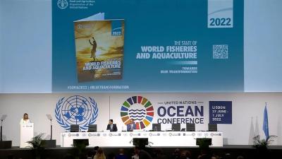 联合国海洋大会：粮农组织总干事呼吁推动落实《2030年议程》渔业相关目标