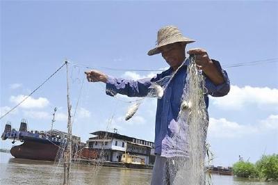 中国农民丰收节发布倡议书 助农 惠农 为农！