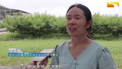 武大毕业生返乡务农 打造一方“世外桃源”