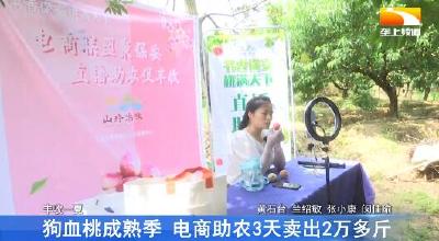 狗血桃成熟季 电商助农3天卖出2万多斤
