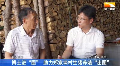 博士进“圈” 助力郑家埫村生猪养殖“出圈”