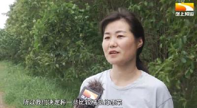 夫妻俩种菜追新求精 带富一方乡亲