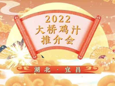 湖北·宜昌大桥鸡汁推介会｜活动快剪