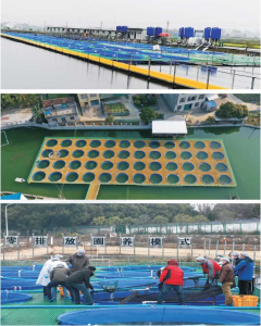 池塘“零排HT绿色高效圈养系统