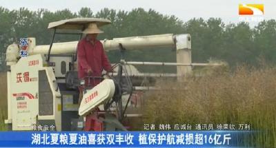 湖北夏粮夏油喜获双丰收 植保护航减损超16亿斤 
