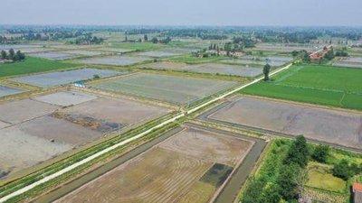 湖北省半年土地整治新增耕地6.45万亩