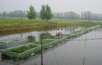 近期降水过程多，水产养殖做好防范