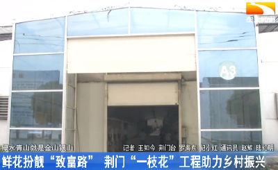 鲜花扮靓“致富路” 荆门“一枝花”工程助力乡村振兴