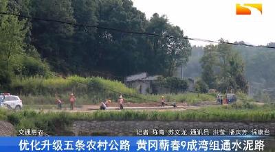 优化升级五条农村公路 黄冈蕲春9成湾组通水泥路