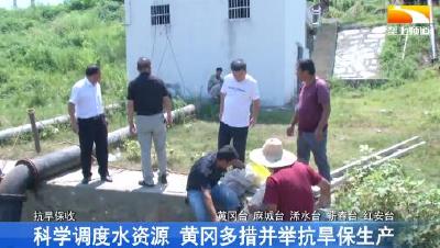 科学调度水资源 黄冈多措并举抗旱保生产