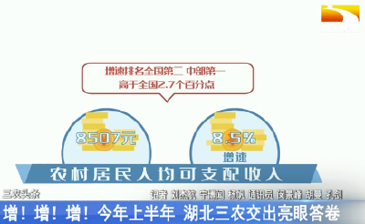 增！增！增！今年上半年 湖北三农交出亮眼答卷