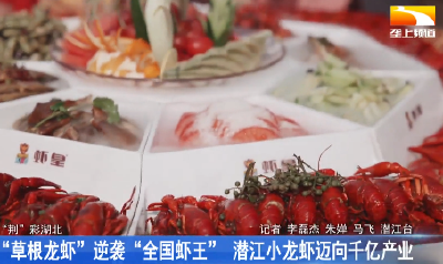 “草根龙虾”逆袭“全国虾王” 潜江小龙虾迈向千亿产业