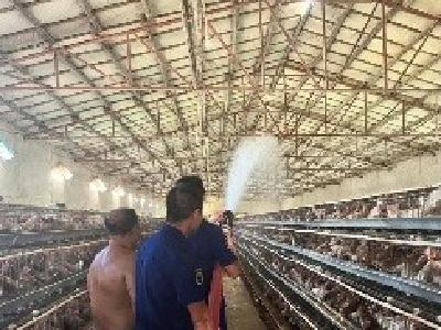 高温干旱消防帮大忙，5吨“清泉”救活1.2万只鸡