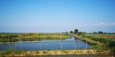 水产养殖质量安全管理规定