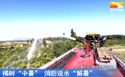 抗旱保丰收丨橘树“中暑” 消防送水“解暑”