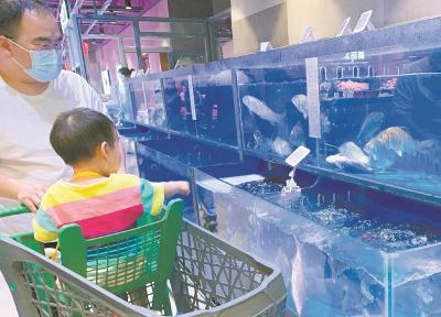 武汉多种淡水鱼价明显反弹 八月或难吃到便宜鱼
