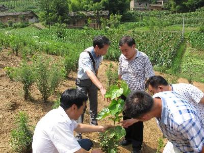 湖北省2000多名农业专家奔赴“热”土