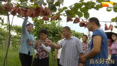 农技培训班走进果园 助力猕猴桃种植户抗旱保收