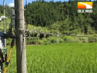 咸宁通山：电表送田头  解农户抽水抗旱“燃眉之急”
