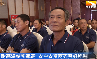 耐高温结实率高 农户农资商齐赞好稻种