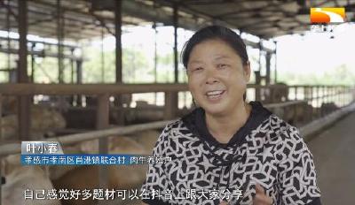 卖房养牛 “牛”大姐返乡带领全家趟出“牛”路子