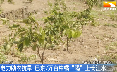 电力助农抗旱巴东7万亩柑橘“喝”长江水“解渴”