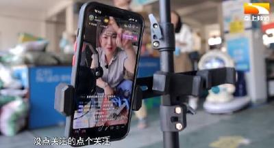 全职宝妈变身三农主播 山间板栗搭上网络快车