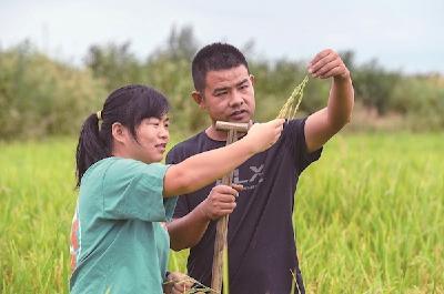 大学生夫妻返乡种田盘活撂荒地 计划打造自己的大米品牌