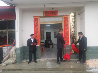 能人返乡创业，十堰两兄弟养林麝带动乡亲致富