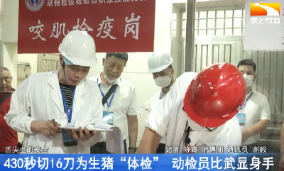430秒切16刀为猪“体检” 动检员比武显身手