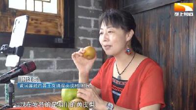 小山村蝶变“网红村” 共同缔造美好生活新图景